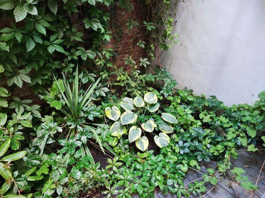 Central Vienna Apartment With Unique 40M2 City Garden & Self Check In Ngoại thất bức ảnh